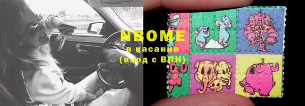 тгк Каменка