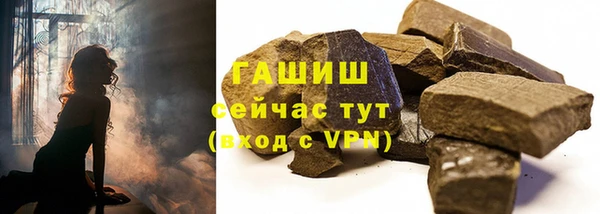 тгк Каменка