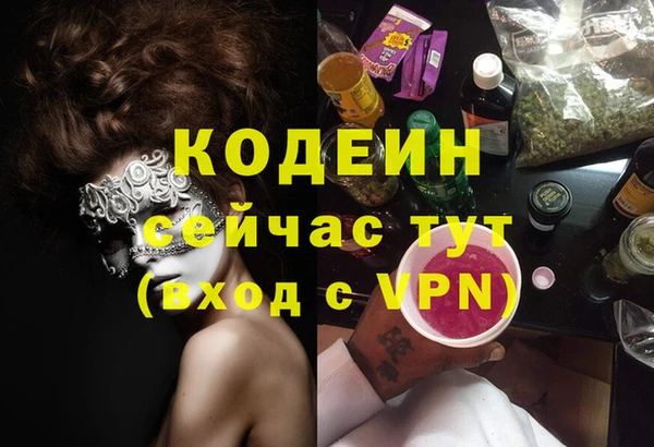 тгк Каменка