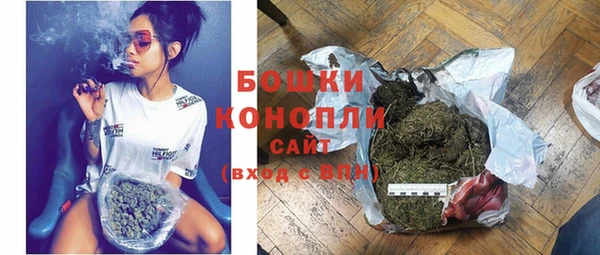 тгк Каменка