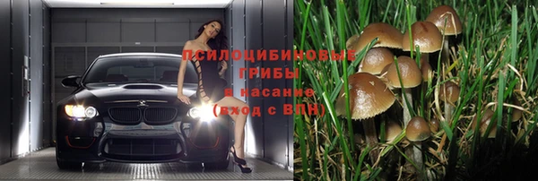 прущая мука Каменск-Шахтинский