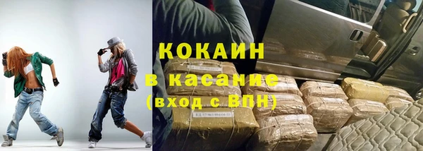 тгк Каменка