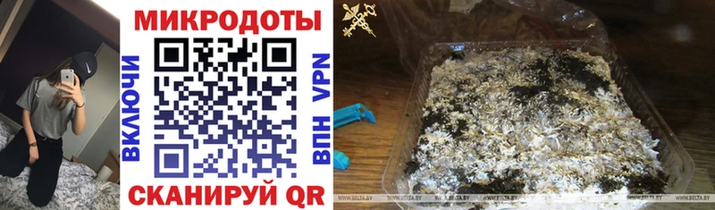 Купить  Десногорск  Галлюциногенные грибы Psilocybe 